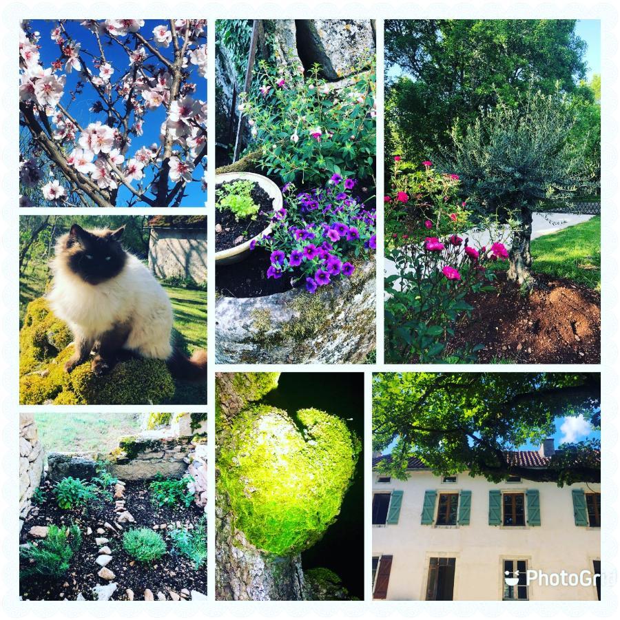 Bed and Breakfast Mas d’Aubrac Limogne-en-Quercy Exterior foto