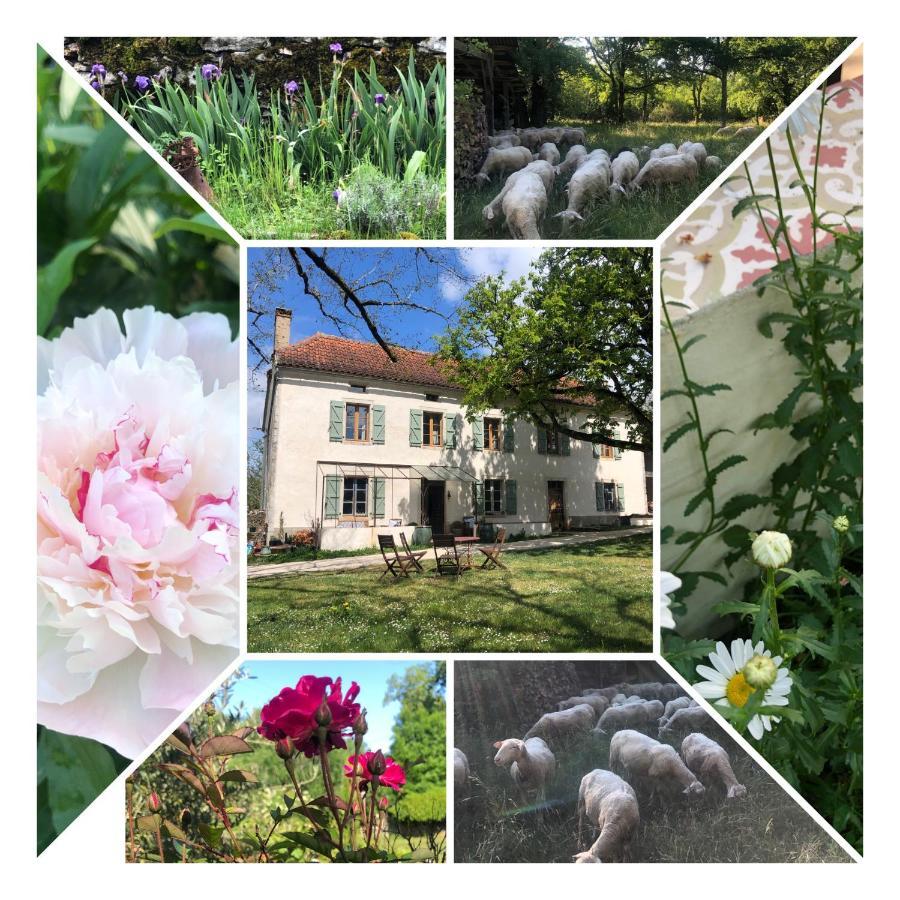 Bed and Breakfast Mas d’Aubrac Limogne-en-Quercy Exterior foto