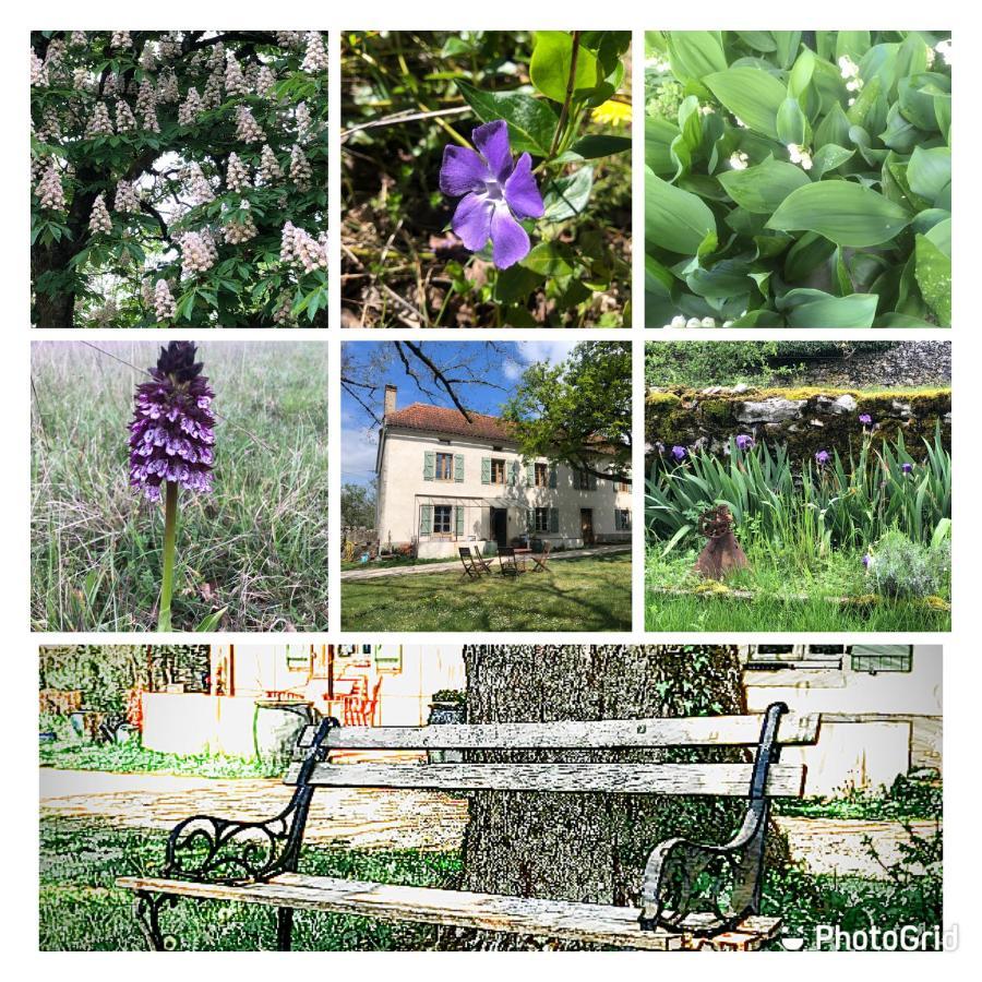 Bed and Breakfast Mas d’Aubrac Limogne-en-Quercy Exterior foto