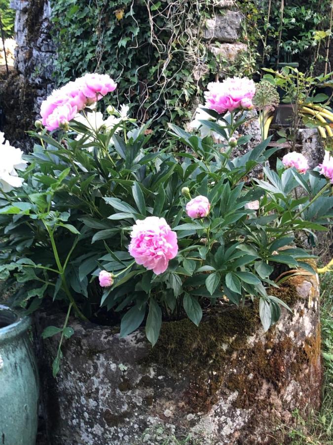 Bed and Breakfast Mas d’Aubrac Limogne-en-Quercy Exterior foto