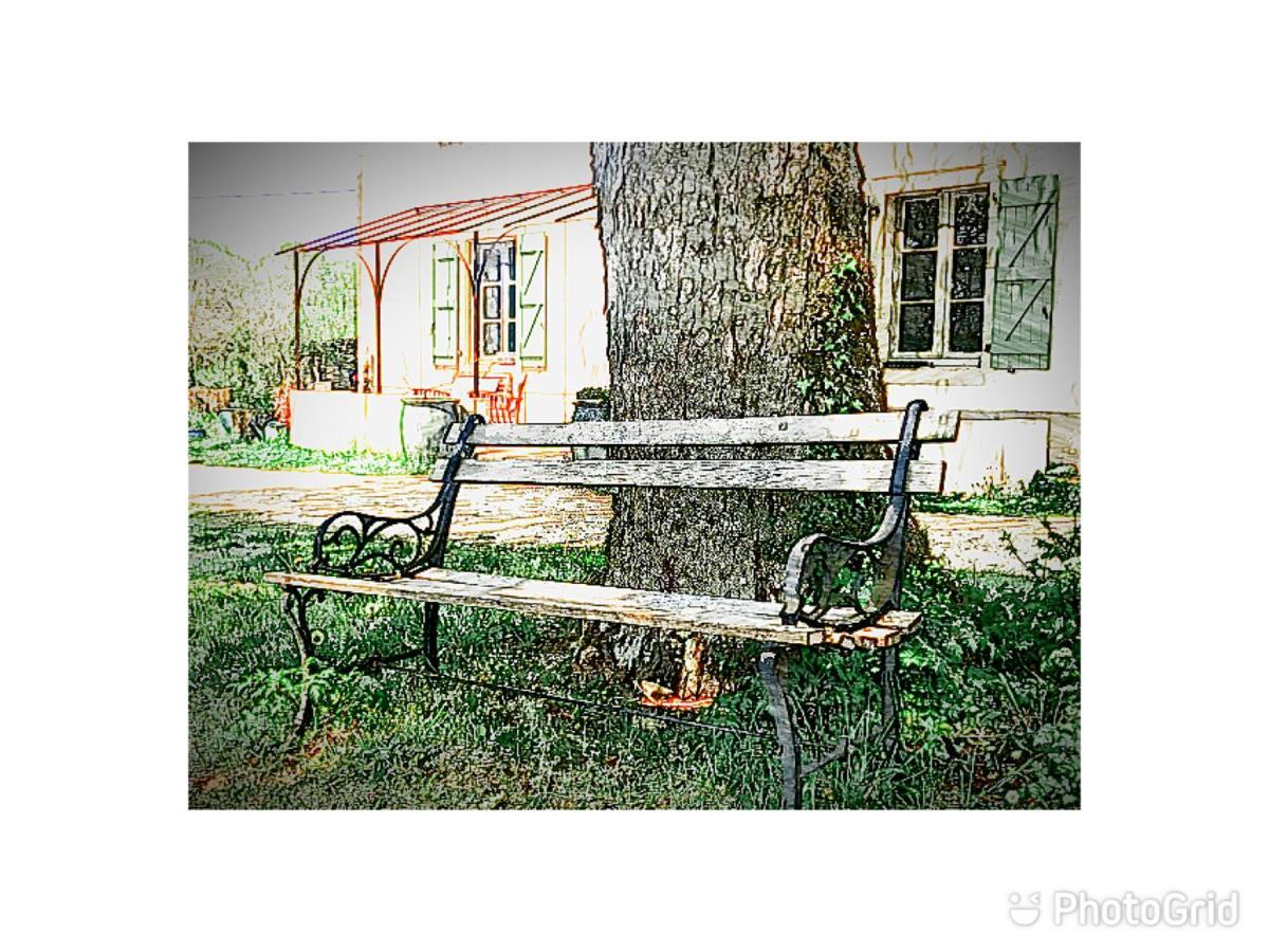 Bed and Breakfast Mas d’Aubrac Limogne-en-Quercy Exterior foto